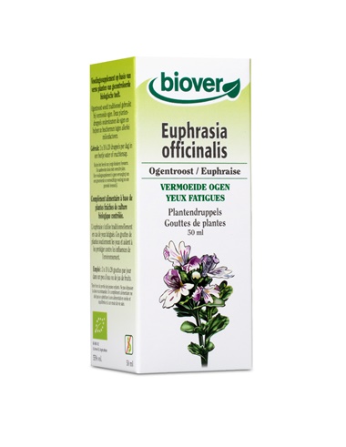 Euphrasia officinalis