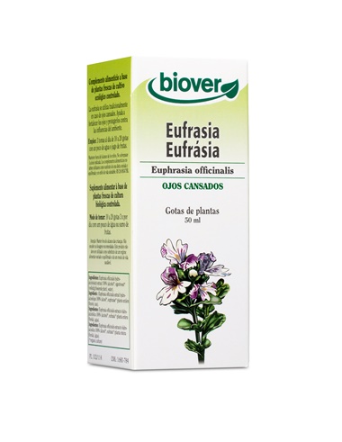 Eufrasia