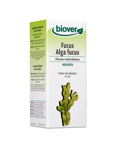 Fucus