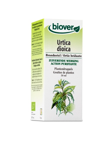 Urtica dioica