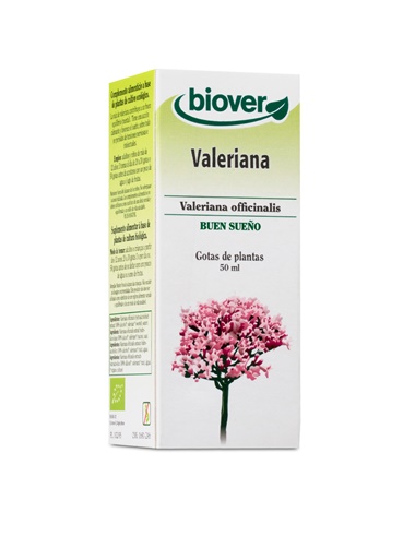 Valeriana