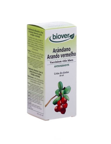Arándano